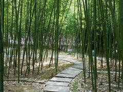 -青枫公园