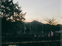 -红山村