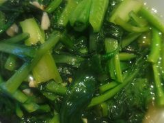 -鸽子窝(宋庄店)