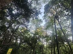 -灵顺寺