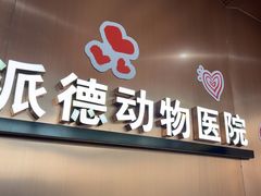 -pd派德宠物中心医院24H急重症·眼科中心·血液透析中心(嵩山北路店)