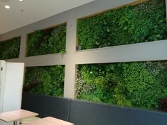 -牛油果大师寿司(瑞景店)