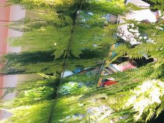-三个椰子·现砍椰子鸡(金源CBD店)