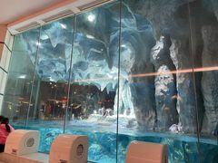 -帝企鹅自助餐厅•儿童岛•真企鹅(长隆企鹅酒店)