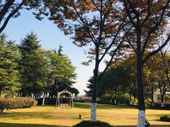 -上海市保健医疗中心