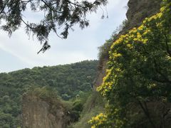 -北京鹫峰国家森林公园