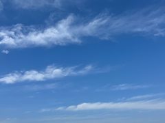 -碧海金沙