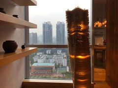 -广州富力君悦大酒店空中花园