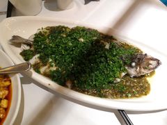 烧椒鲈鱼-尘香•传统川菜(创汇首座店)