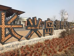 -上海长兴岛郊野公园