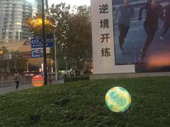 -上海中心大厦