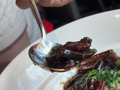 -望乡楼上海菜(日月光店)