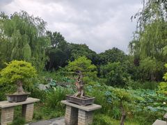 -郑州植物园