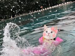 -柳浪游泳场