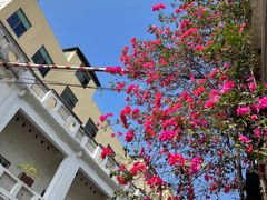 -恒兴发茶店(水巷口店)