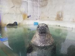 -厦门海底世界