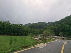 -黄埔油麻山森林公园