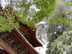 -报恩寺(平武县)