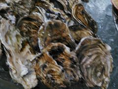 -港畔赶海蒸汽海鲜烧烤自助(仙螺岛店)