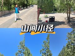 -北京十三陵国家森林公园蟒山景区