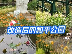 -和平公园