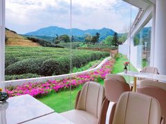 -龙坞茶村