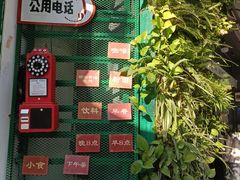 -溪岸路花鸟市场