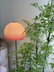 -变美丽半永久纹眉连锁·机器野生眉•洗眉