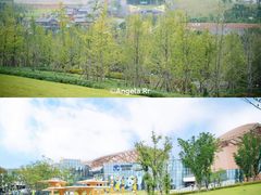 -成都大熊猫繁育研究基地