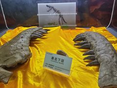 -诸城市恐龙博物馆