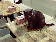 -小时光咖啡馆(开森度假森林店)