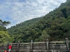 -南海湾森林生态园
