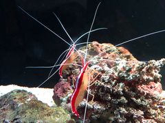 -暹罗海洋世界