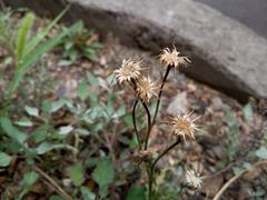 -北戴河圣蓝海洋公园