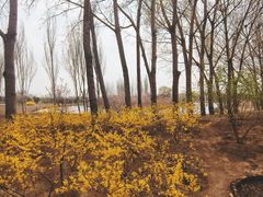 -东郊湿地公园