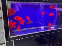 -绿岛汤泉韩式休闲会所