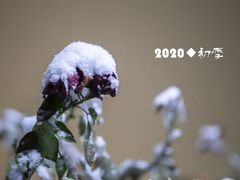 -汕锦记潮汕生鲜牛肉馆(富华店)