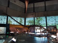 -湖南省地质博物馆