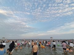 -碧海金沙