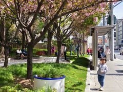 -大木小区斜土路1341弄