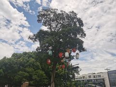 -西溪国家湿地公园