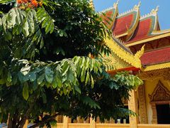 -西双版纳勐泐文化旅游区