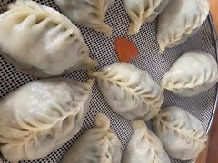 -小叶大馅饺子城