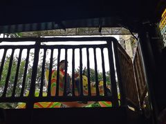 -长鹿旅游休博园