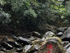 -鼎湖山风景区