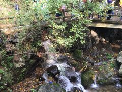 -藏龙百瀑风景区