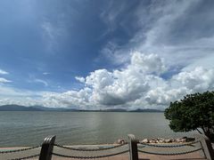 -深圳湾公园-停车场