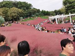 -牛岗山公园