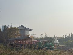 -长田漾湿地公园