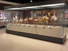 -西安大唐西市博物馆